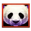 icon 11