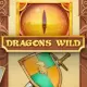 Dragons Wild