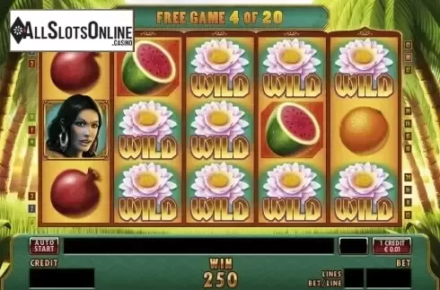 Screen4. Fruits of the Desert from Merkur