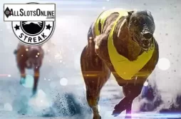 Greyhounds Streak