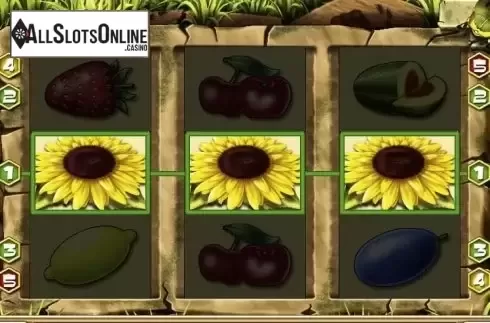 Screen4. Honey Bee from edict