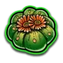 icon 4
