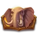 icon 4