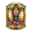 icon 12