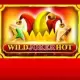 Wild Joker Hot