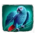 icon 6