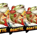 Bonus Buy Free Spins Round
