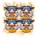 Bonus Buy Wild Field Feature