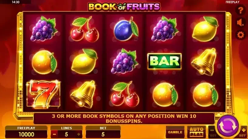 Book of Fruits slot screenshot