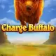Charge Buffalo