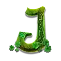 icon 9
