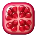 icon 1