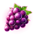 icon 4