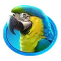 icon 2