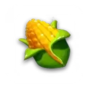 icon 4