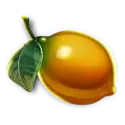 icon 6