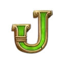 icon 9