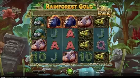 Rainforest Gold slot screenshot 1
