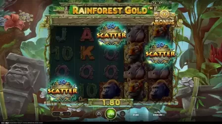Rainforest Gold slot screenshot 2