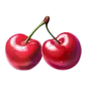icon 5