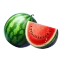 icon 4
