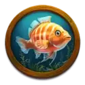 icon 5