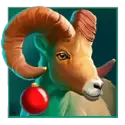 icon 5