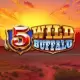 5 Wild Buffalo