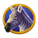 icon 4