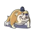 icon 3