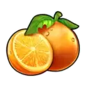 icon 5