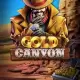 Gold Canyon