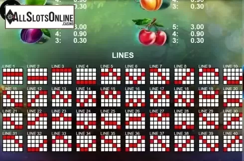 Pay Lines screen