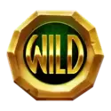 icon 10