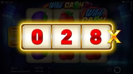 Wild Cash slot screenshot 4