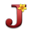 icon 9