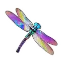 icon 2