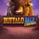 Buffalo Dale: Grandways