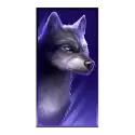 icon 4