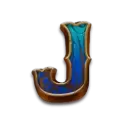 icon 9