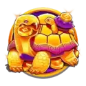 icon 5
