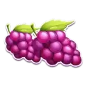 icon 4