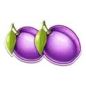 icon 5