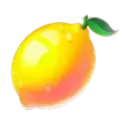 icon 5