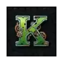 icon 6
