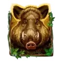 icon 3