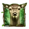 icon 4
