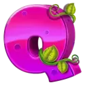 icon 6