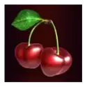 icon 10