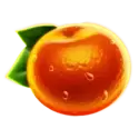 icon 5